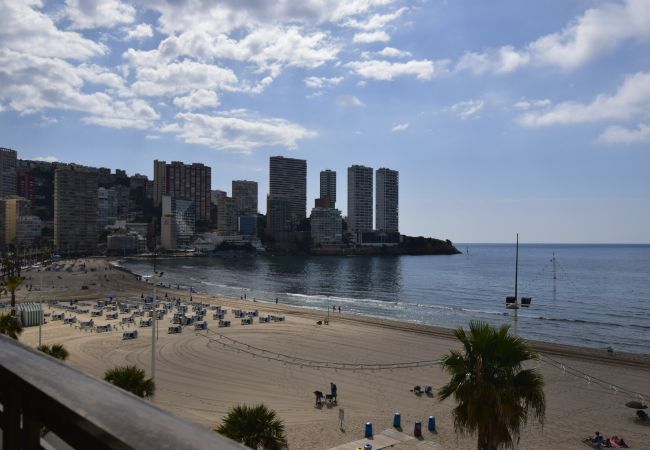 Apartamento en Benidorm - CACHIRULO 3B (1  DORMITORIO) Apartamento en Benidorm - CACHIRULO 3B (1  DORMITORIO)