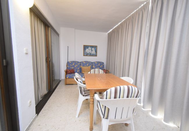 Apartamento en Benidorm - CACHIRULO 3B (1  DORMITORIO) Apartamento en Benidorm - CACHIRULO 3B (1  DORMITORIO)