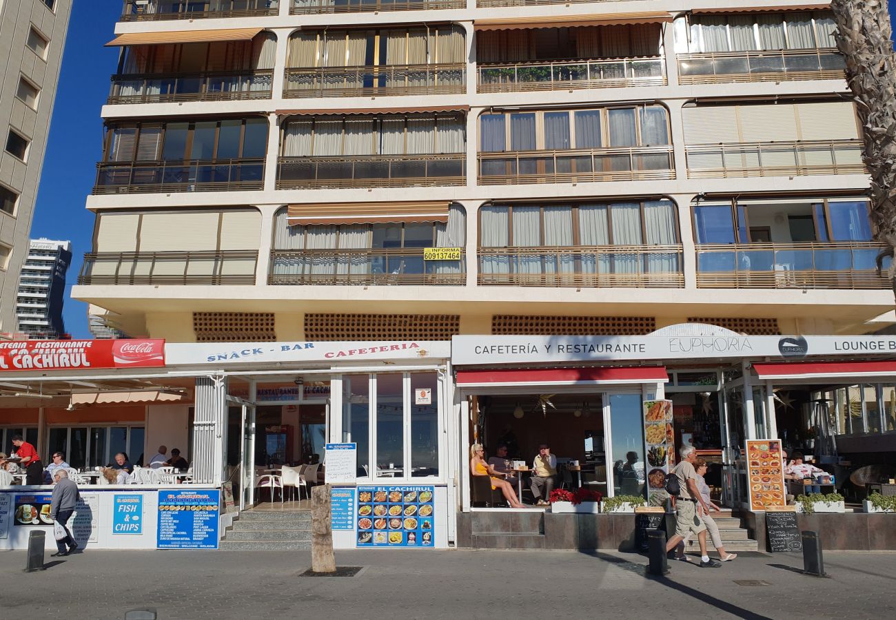 Apartamento en Benidorm - CACHIRULO 3B (1  DORMITORIO)