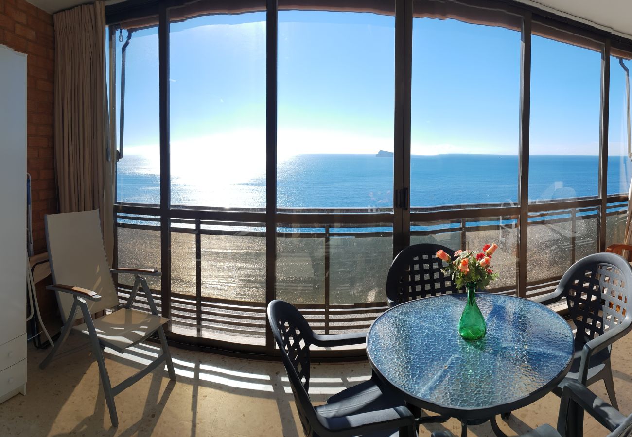 Apartamento en Benidorm - CACHIRULO 3B (1  DORMITORIO)