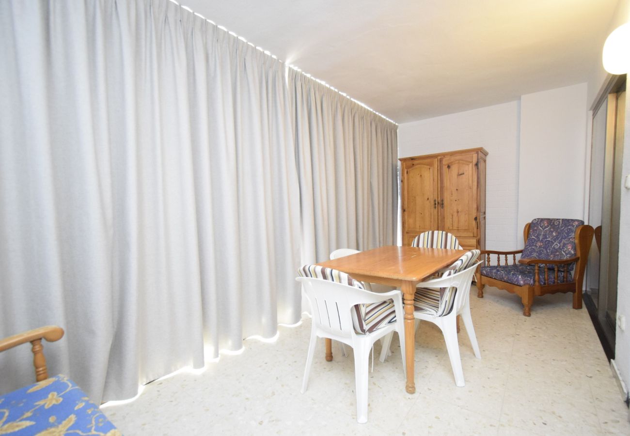 Apartamento en Benidorm - CACHIRULO 3B (1  DORMITORIO)