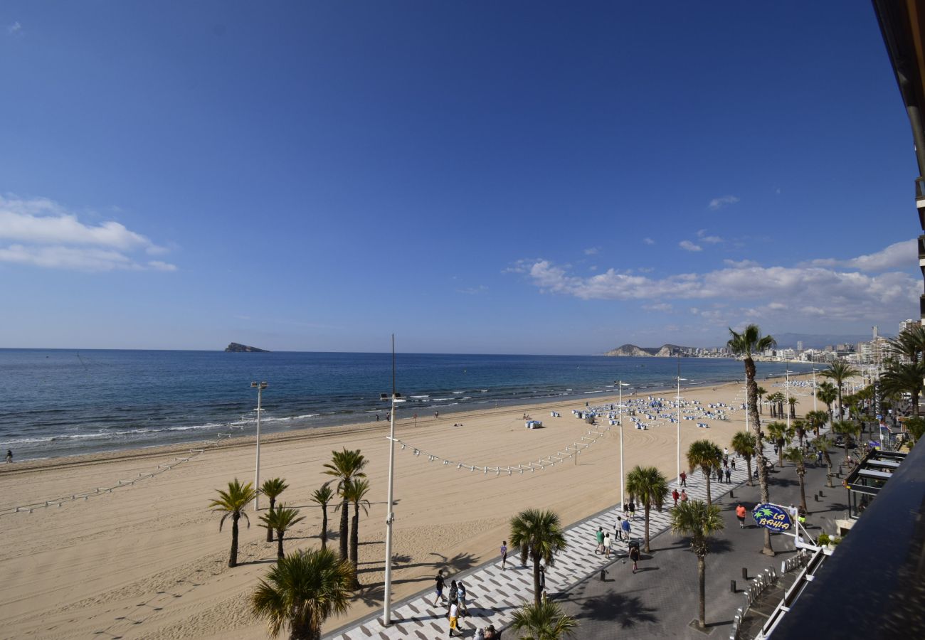 Apartamento en Benidorm - CACHIRULO 3B (1  DORMITORIO)