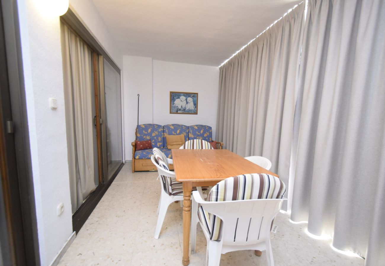 Apartamento en Benidorm - CACHIRULO 3B (1  DORMITORIO)