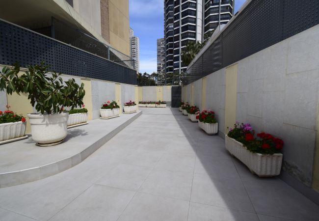 Apartamento en Benidorm - GEMELOS 23 (2 DORMITORIOS) Apartamento en Benidorm - GEMELOS 23 (2 DORMITORIOS)
