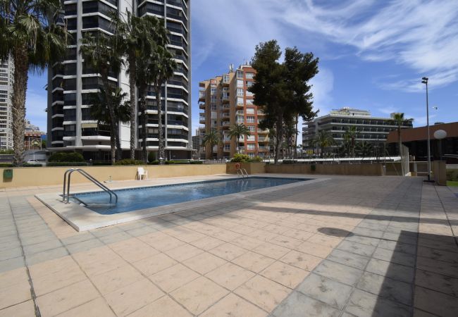 Apartamento en Benidorm - GEMELOS 23 (2 DORMITORIOS) Apartamento en Benidorm - GEMELOS 23 (2 DORMITORIOS)