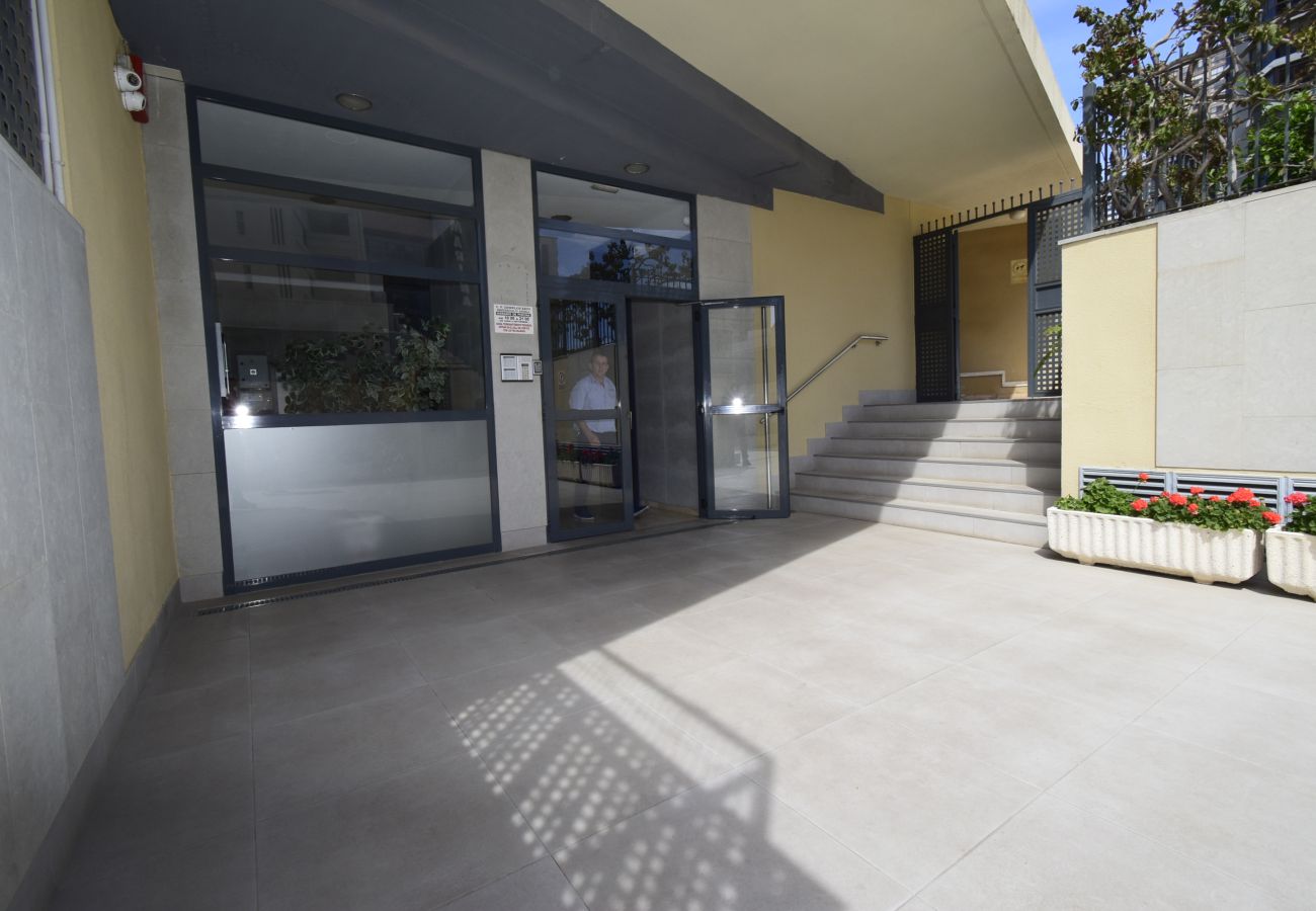 Apartamento en Benidorm - GEMELOS 23 (2 DORMITORIOS)