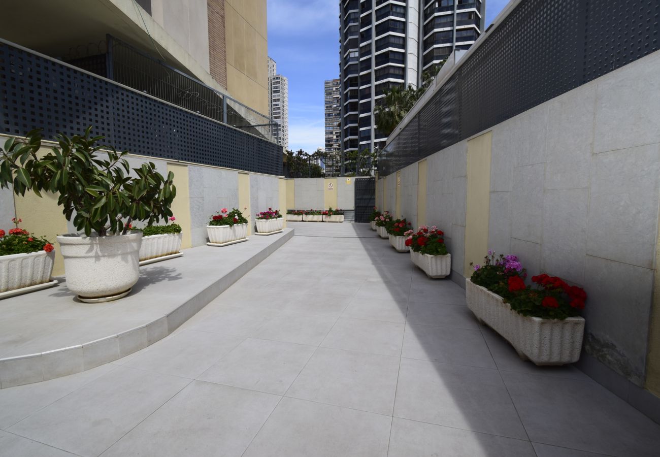 Apartamento en Benidorm - GEMELOS 23 (2 DORMITORIOS)