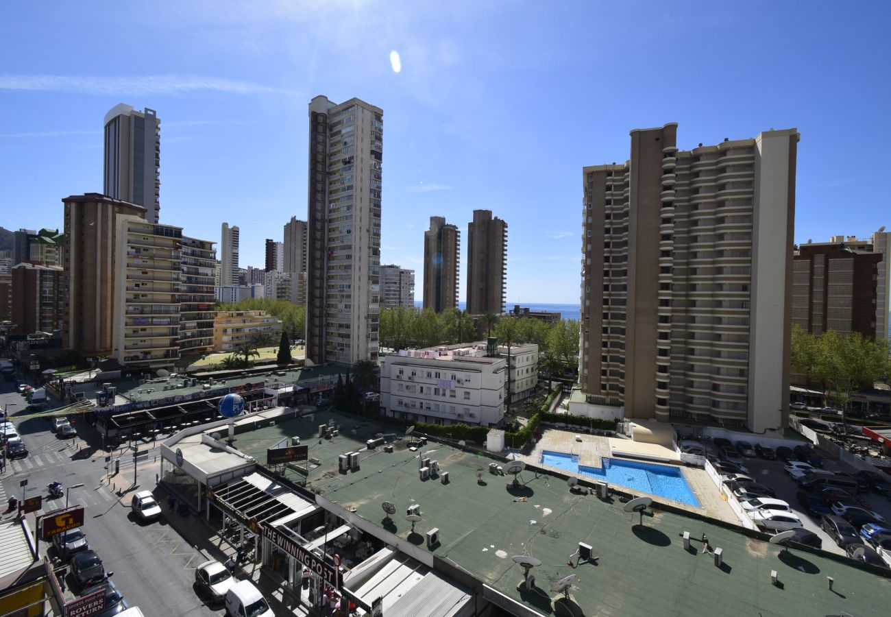 Apartamento en Benidorm - GEMELOS 23 (2 DORMITORIOS)