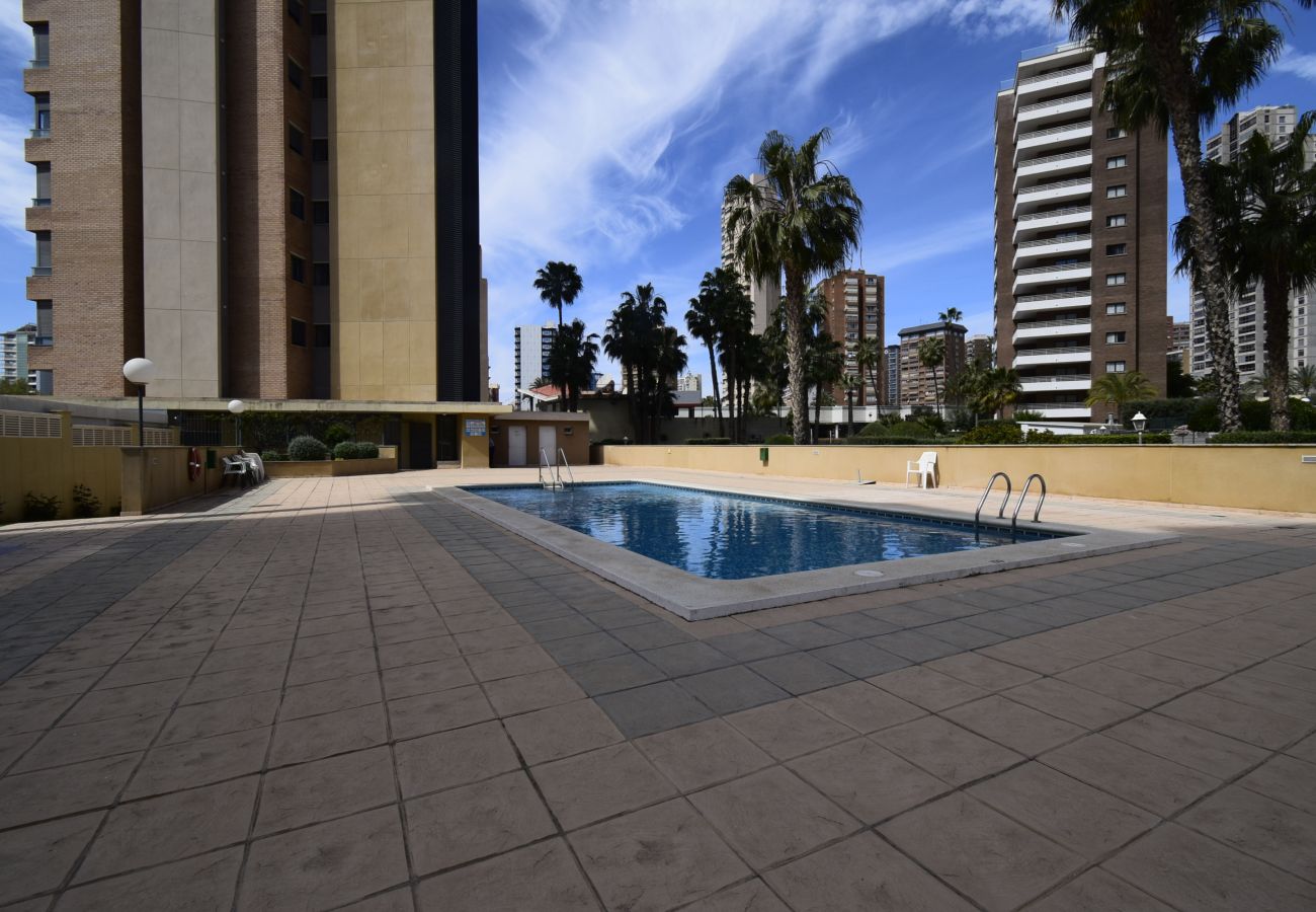 Apartamento en Benidorm - GEMELOS 23 (2 DORMITORIOS)