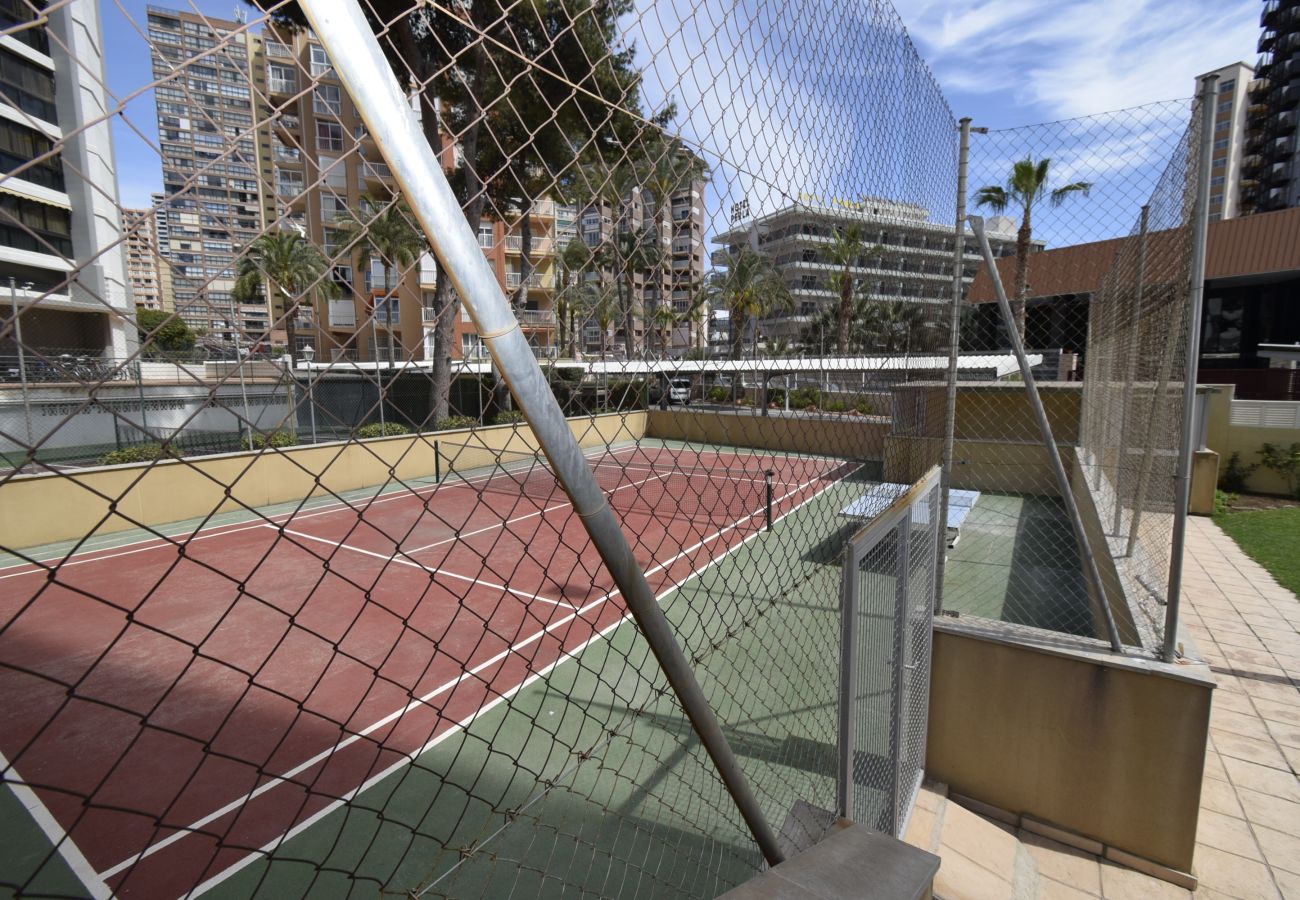 Apartamento en Benidorm - GEMELOS 23 (2 DORMITORIOS)
