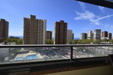 Apartamento en Benidorm - GEMELOS 23 (2 DORMITORIOS)