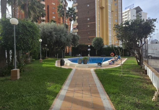 Apartamento en Benidorm - GEMELOS 5 (1 DORMITORIO) Apartamento en Benidorm - GEMELOS 5 (1 DORMITORIO)