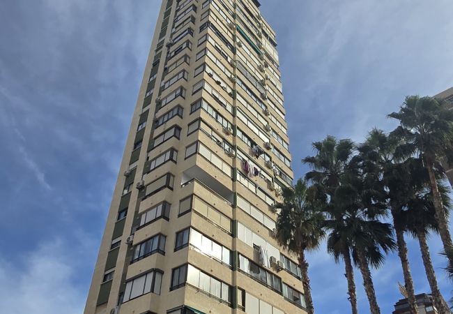 Apartamento en Benidorm - GEMELOS 5 (1 DORMITORIO) Apartamento en Benidorm - GEMELOS 5 (1 DORMITORIO)