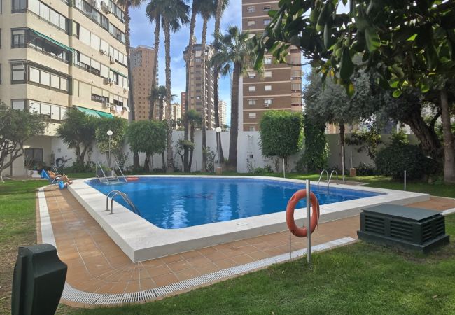 Apartamento en Benidorm - GEMELOS 5 (1 DORMITORIO) Apartamento en Benidorm - GEMELOS 5 (1 DORMITORIO)