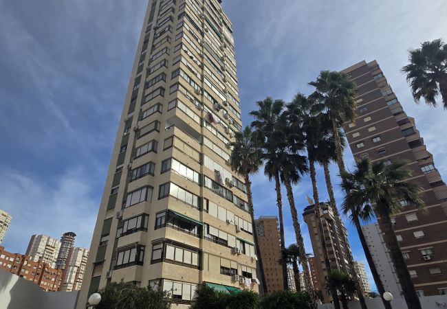 Apartamento en Benidorm - GEMELOS 5 (1 DORMITORIO) Apartamento en Benidorm - GEMELOS 5 (1 DORMITORIO)