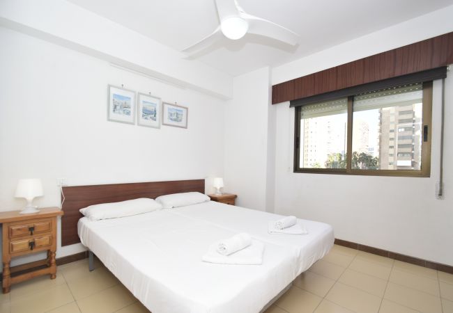 Apartamento en Benidorm - GEMELOS 5 (1 DORMITORIO) Apartamento en Benidorm - GEMELOS 5 (1 DORMITORIO)