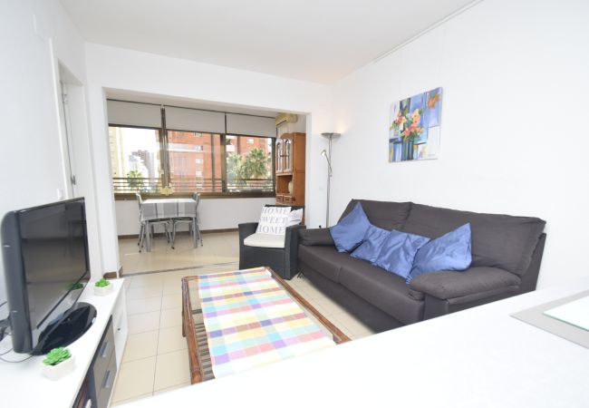 Apartamento en Benidorm - GEMELOS 5 (1 DORMITORIO) Apartamento en Benidorm - GEMELOS 5 (1 DORMITORIO)