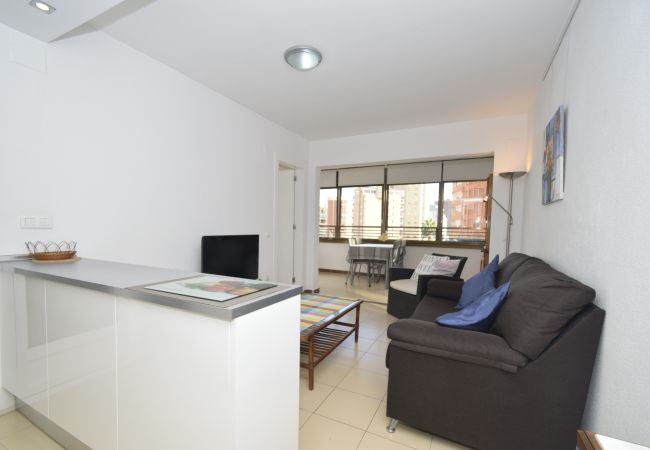 Apartamento en Benidorm - GEMELOS 5 (1 DORMITORIO) Apartamento en Benidorm - GEMELOS 5 (1 DORMITORIO)