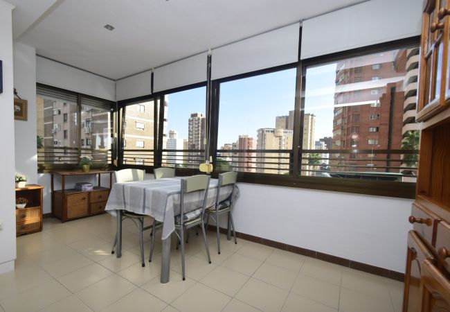 Apartamento en Benidorm - GEMELOS 5 (1 DORMITORIO) Apartamento en Benidorm - GEMELOS 5 (1 DORMITORIO)