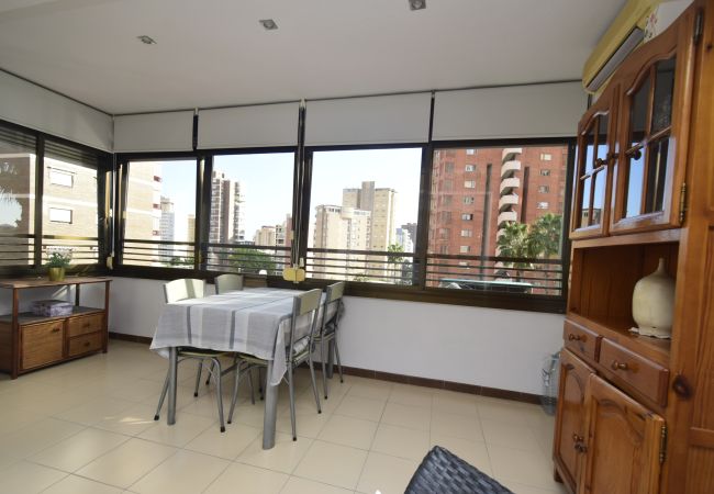Apartamento en Benidorm - GEMELOS 5 (1 DORMITORIO) Apartamento en Benidorm - GEMELOS 5 (1 DORMITORIO)