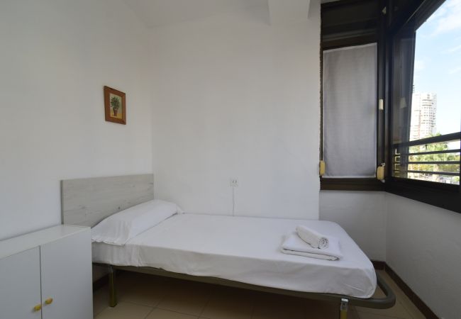 Apartamento en Benidorm - GEMELOS 5 (1 DORMITORIO) Apartamento en Benidorm - GEMELOS 5 (1 DORMITORIO)