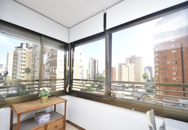 Apartamento en Benidorm - GEMELOS 5 (1 DORMITORIO) Apartamento en Benidorm - GEMELOS 5 (1 DORMITORIO)