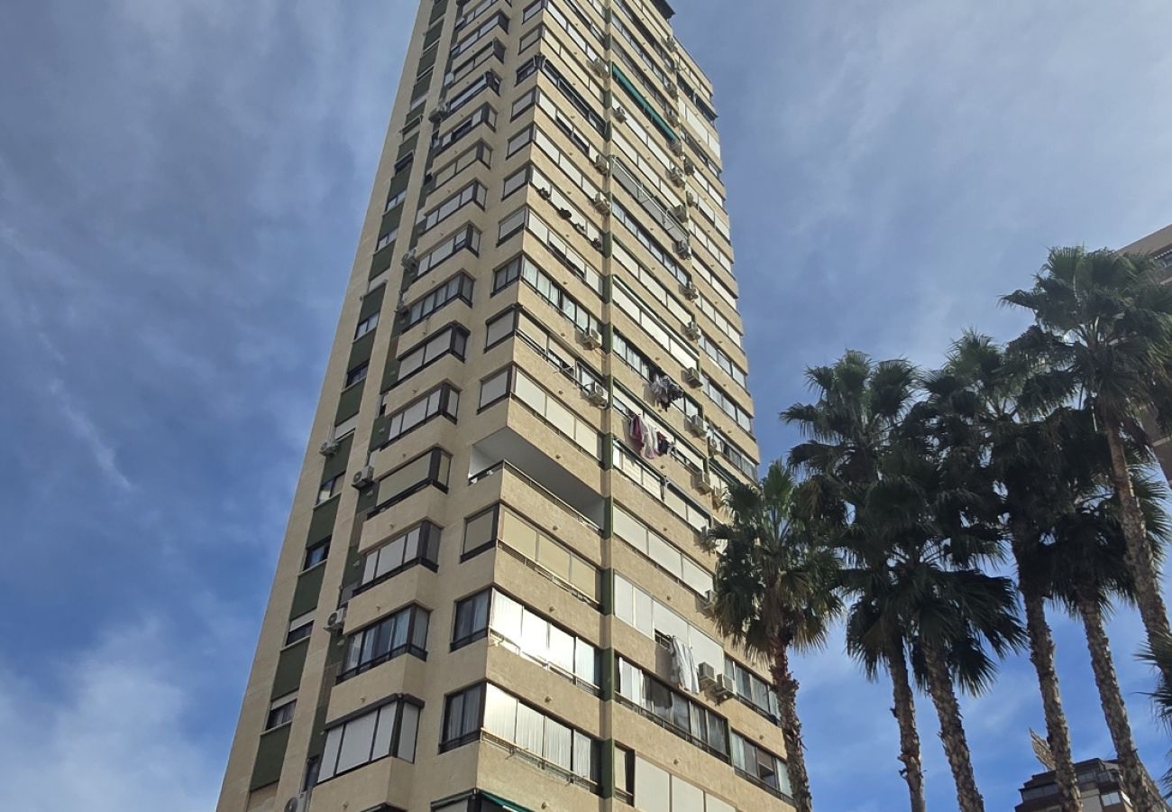 Apartamento en Benidorm - GEMELOS 5 (1 DORMITORIO) Apartamento en Benidorm - GEMELOS 5 (1 DORMITORIO)