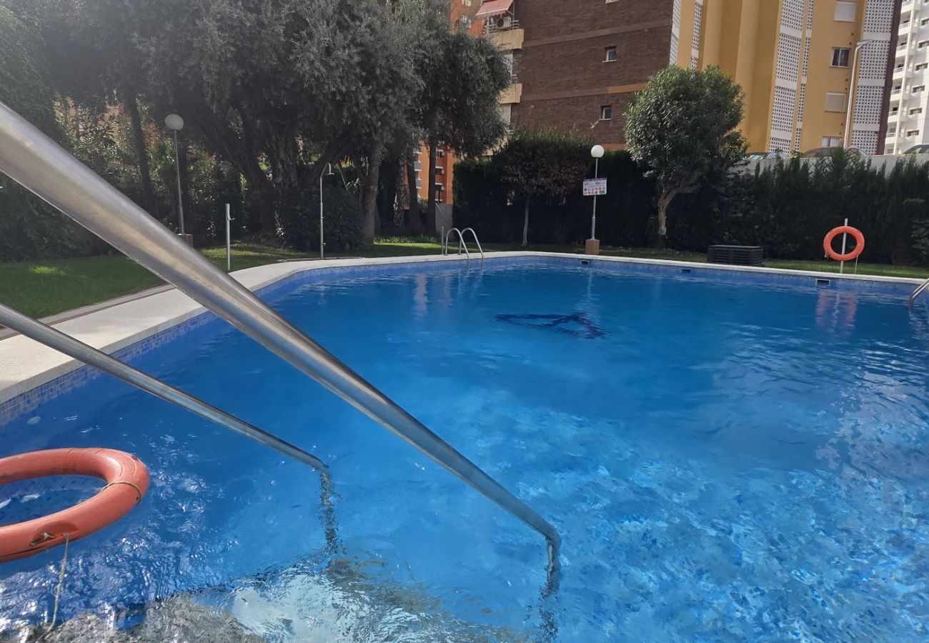 Apartamento en Benidorm - GEMELOS 5 (1 DORMITORIO) Apartamento en Benidorm - GEMELOS 5 (1 DORMITORIO)