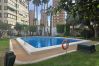 Apartamento en Benidorm - GEMELOS 5 (1 DORMITORIO) Apartamento en Benidorm - GEMELOS 5 (1 DORMITORIO)