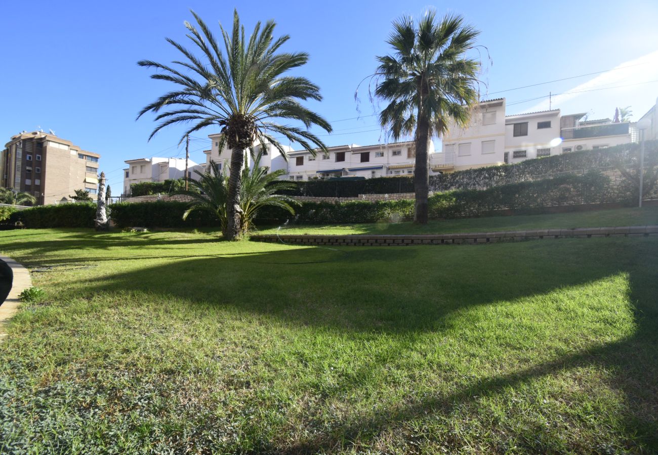 Apartamento en Benidorm - COBLANCA 29 16-5