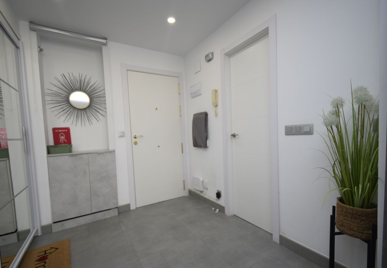 Apartamento en Benidorm - COBLANCA 29 16-5