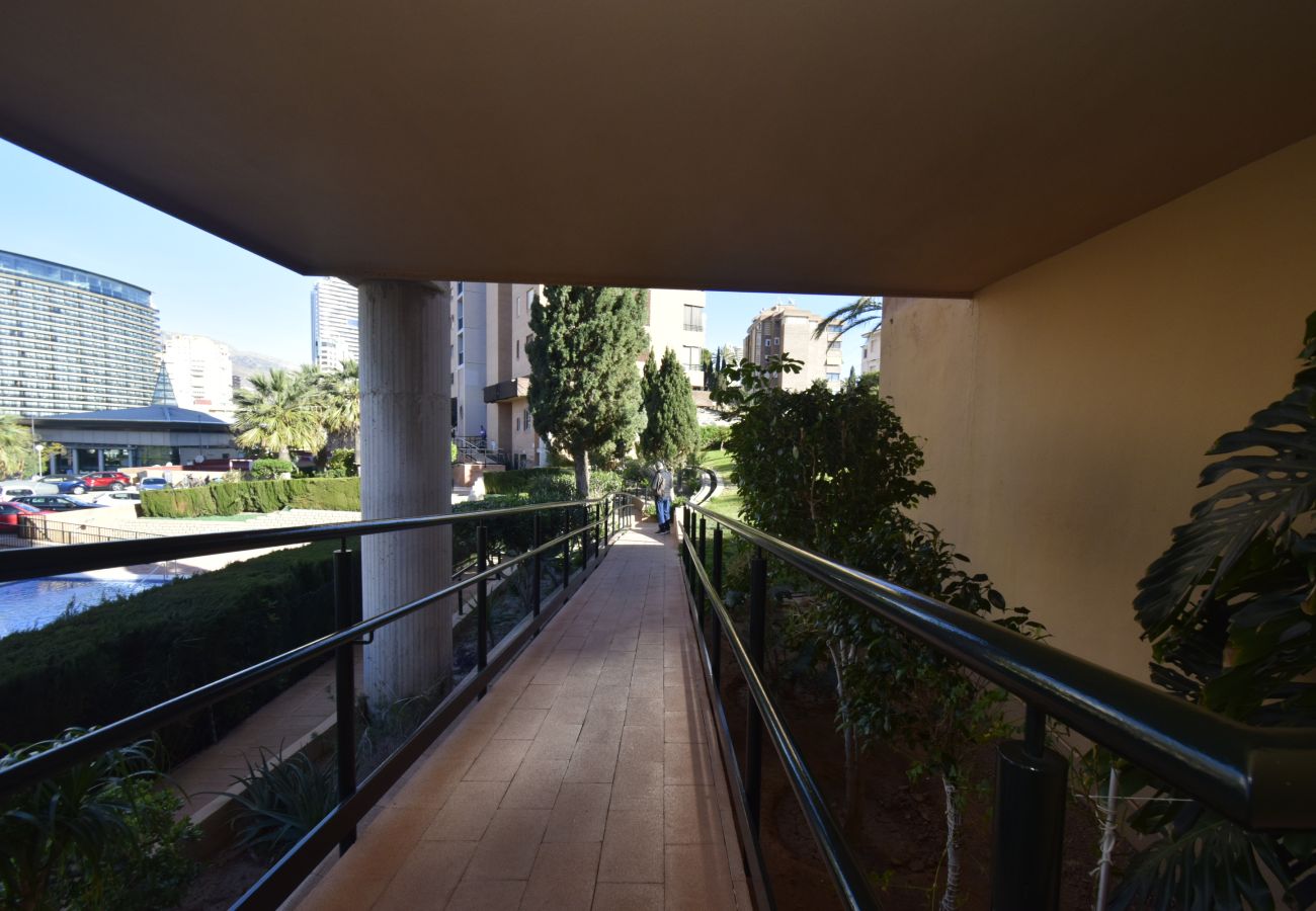 Apartamento en Benidorm - COBLANCA 29 16-5