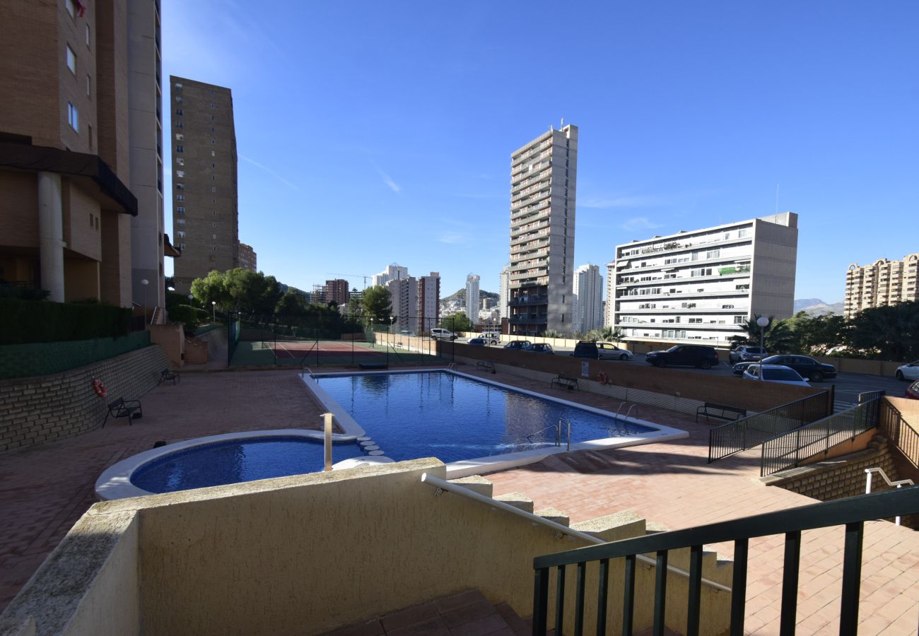Apartamento en Benidorm - COBLANCA 29 16-5