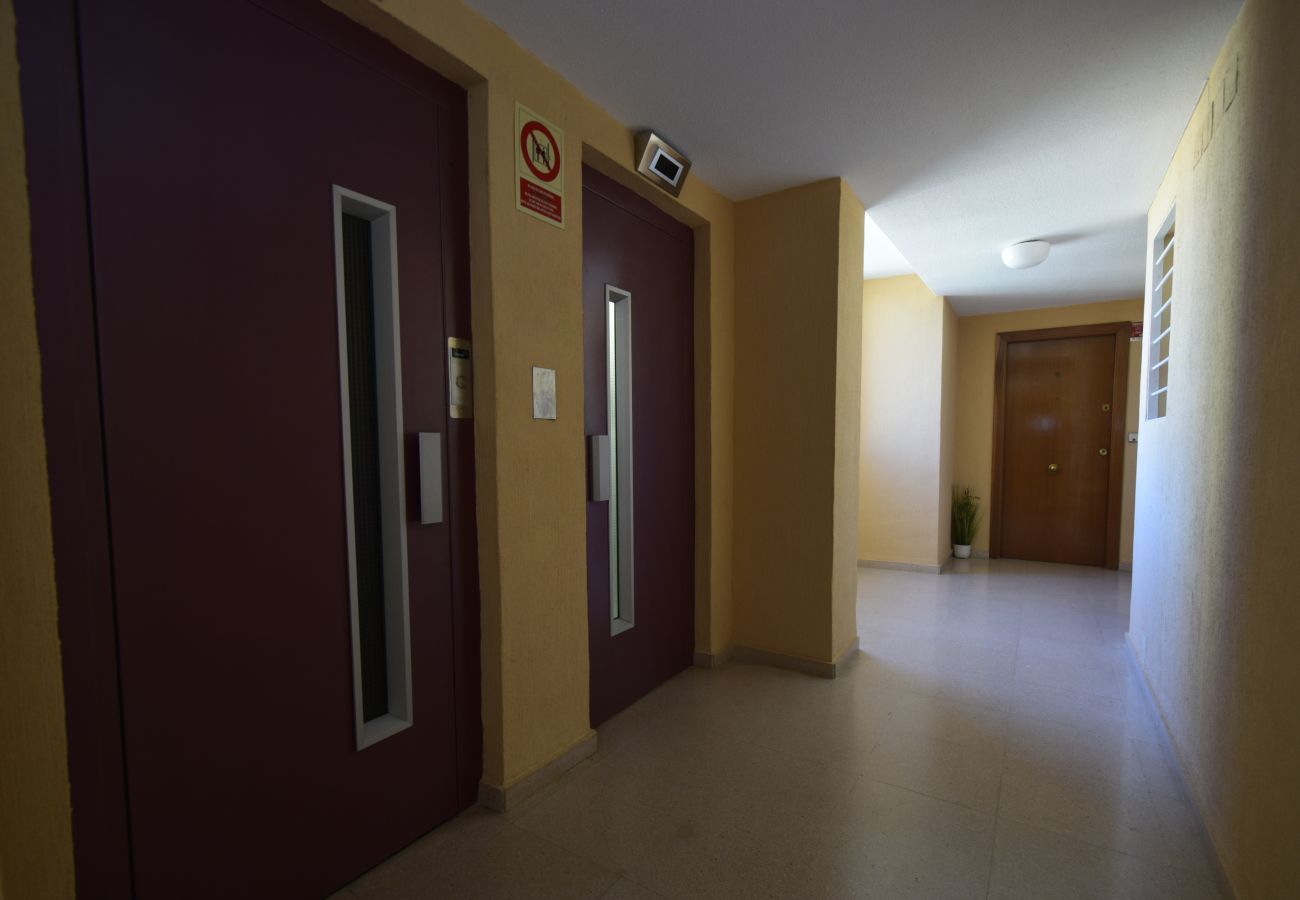 Apartamento en Benidorm - COBLANCA 29 16-5