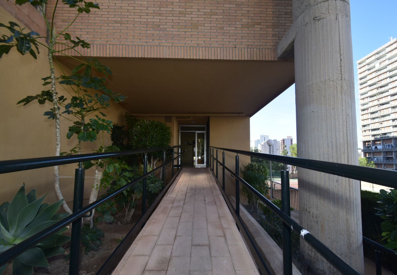 Apartamento en Benidorm - COBLANCA 29 16-5