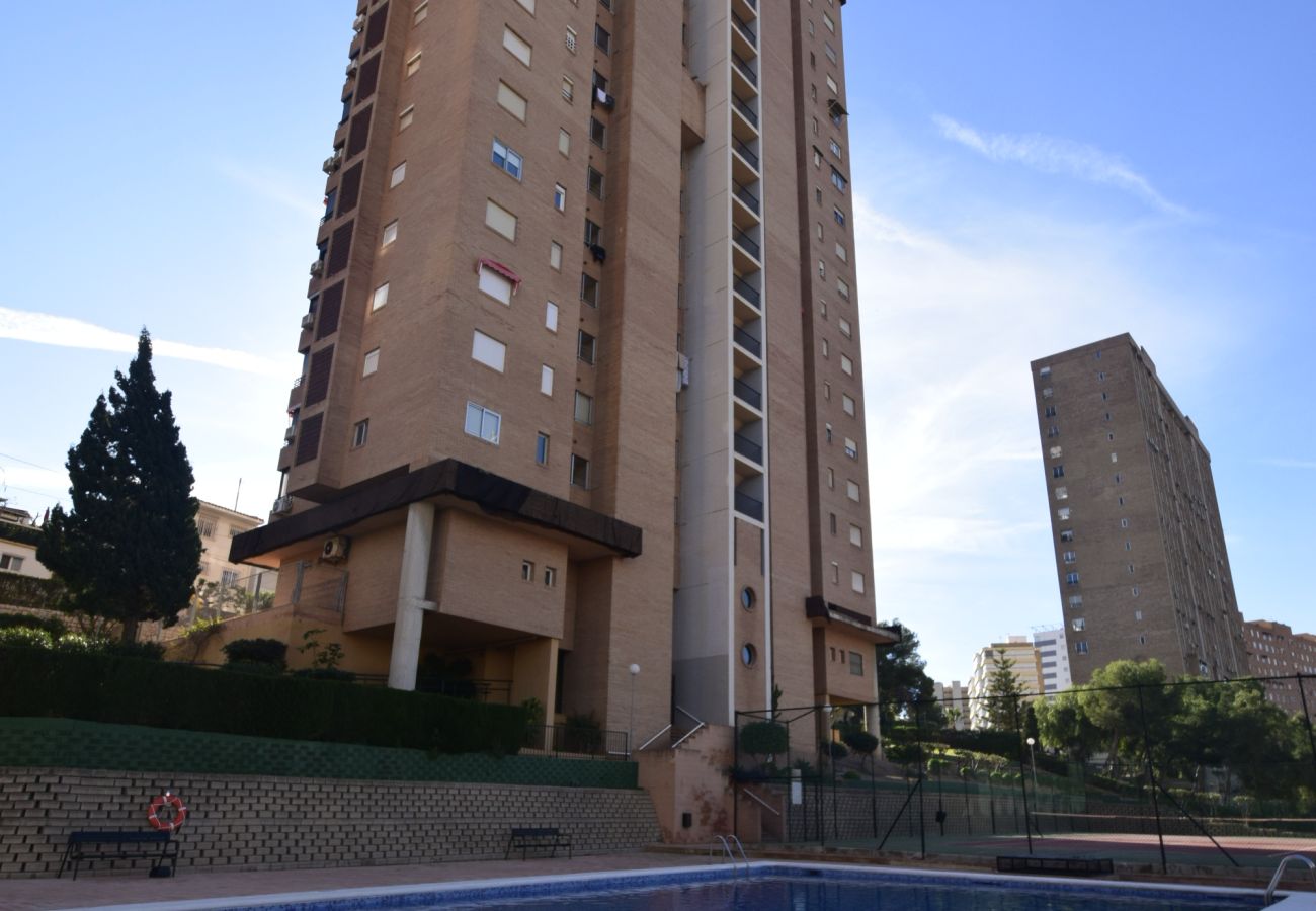 Apartamento en Benidorm - COBLANCA 29 16-5