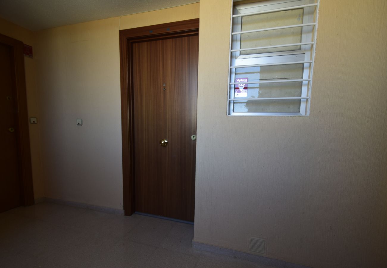 Apartamento en Benidorm - COBLANCA 29 16-5