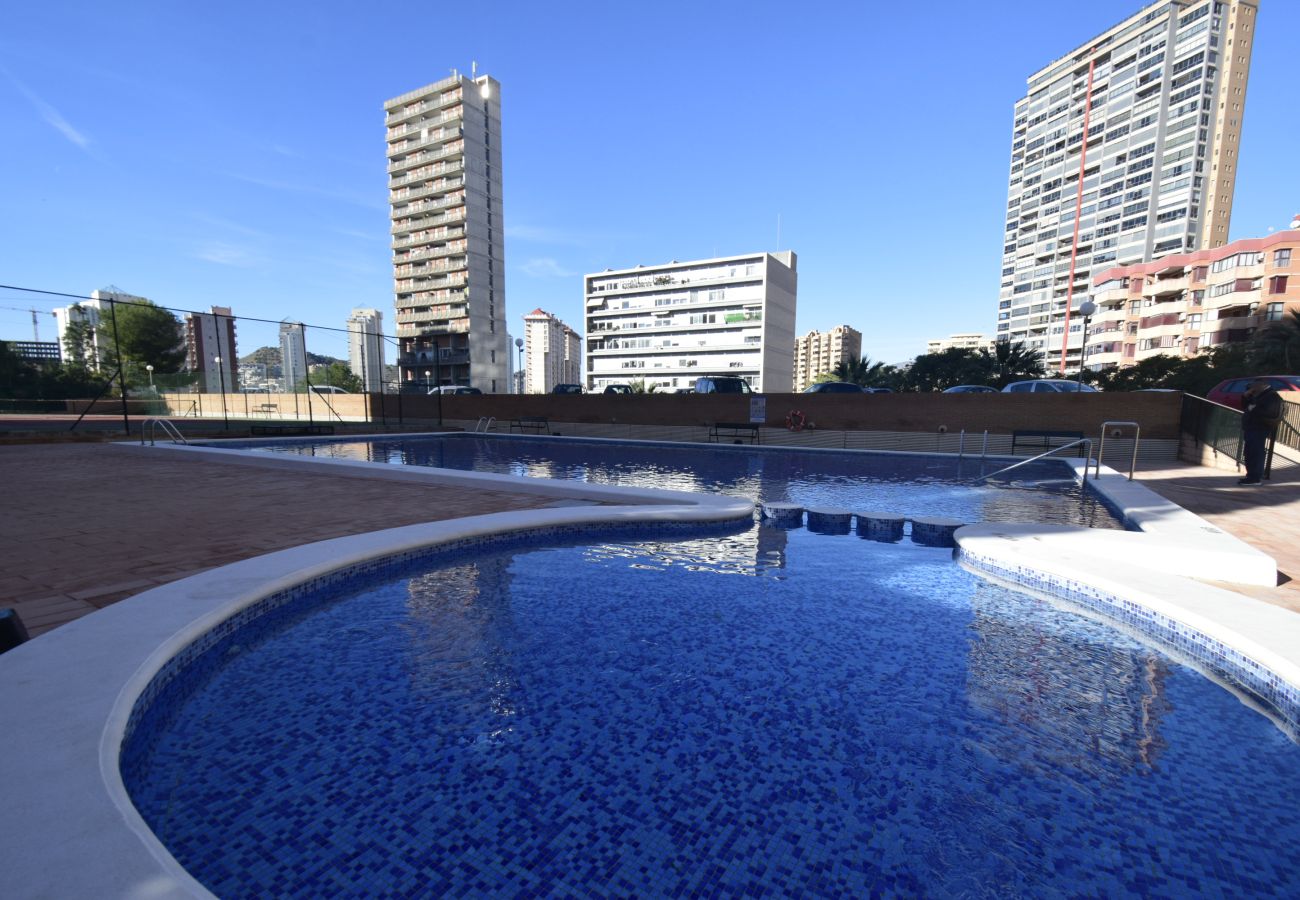 Apartamento en Benidorm - COBLANCA 29 16-5