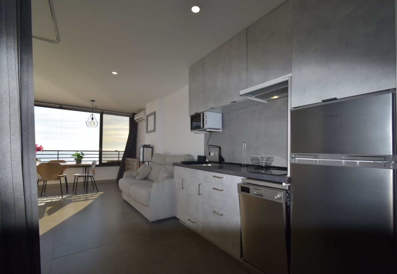 Apartamento en Benidorm - COBLANCA 29 16-5