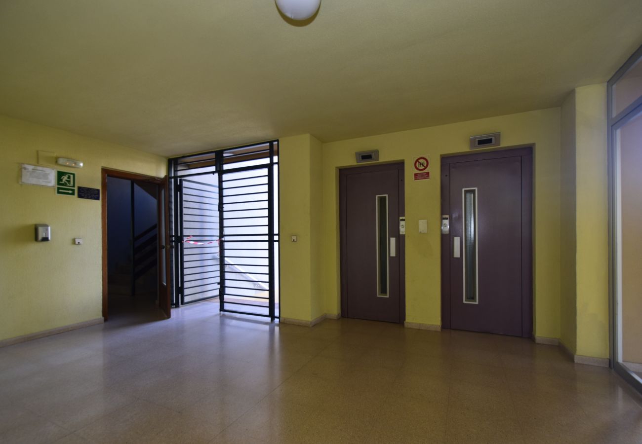 Apartamento en Benidorm - COBLANCA 29 16-5