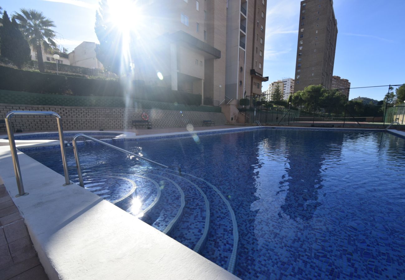 Apartamento en Benidorm - COBLANCA 29 16-5