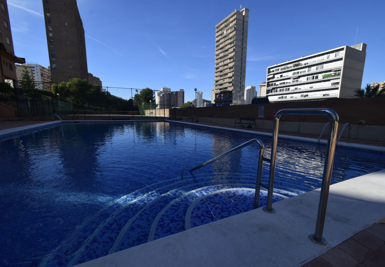 Apartamento en Benidorm - COBLANCA 29 16-5