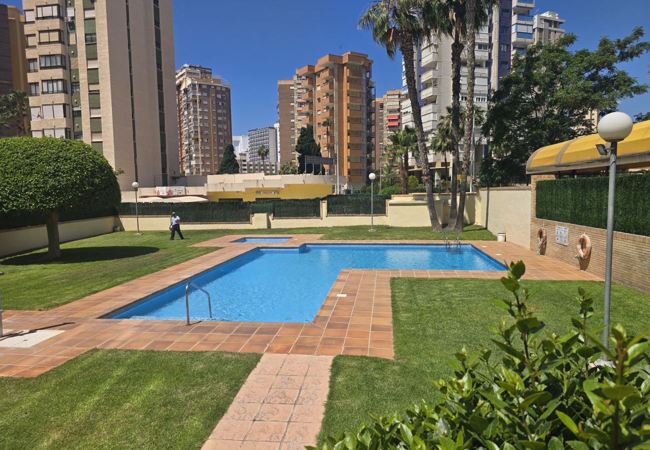 Apartamento en Benidorm - TORRE IPANEMA