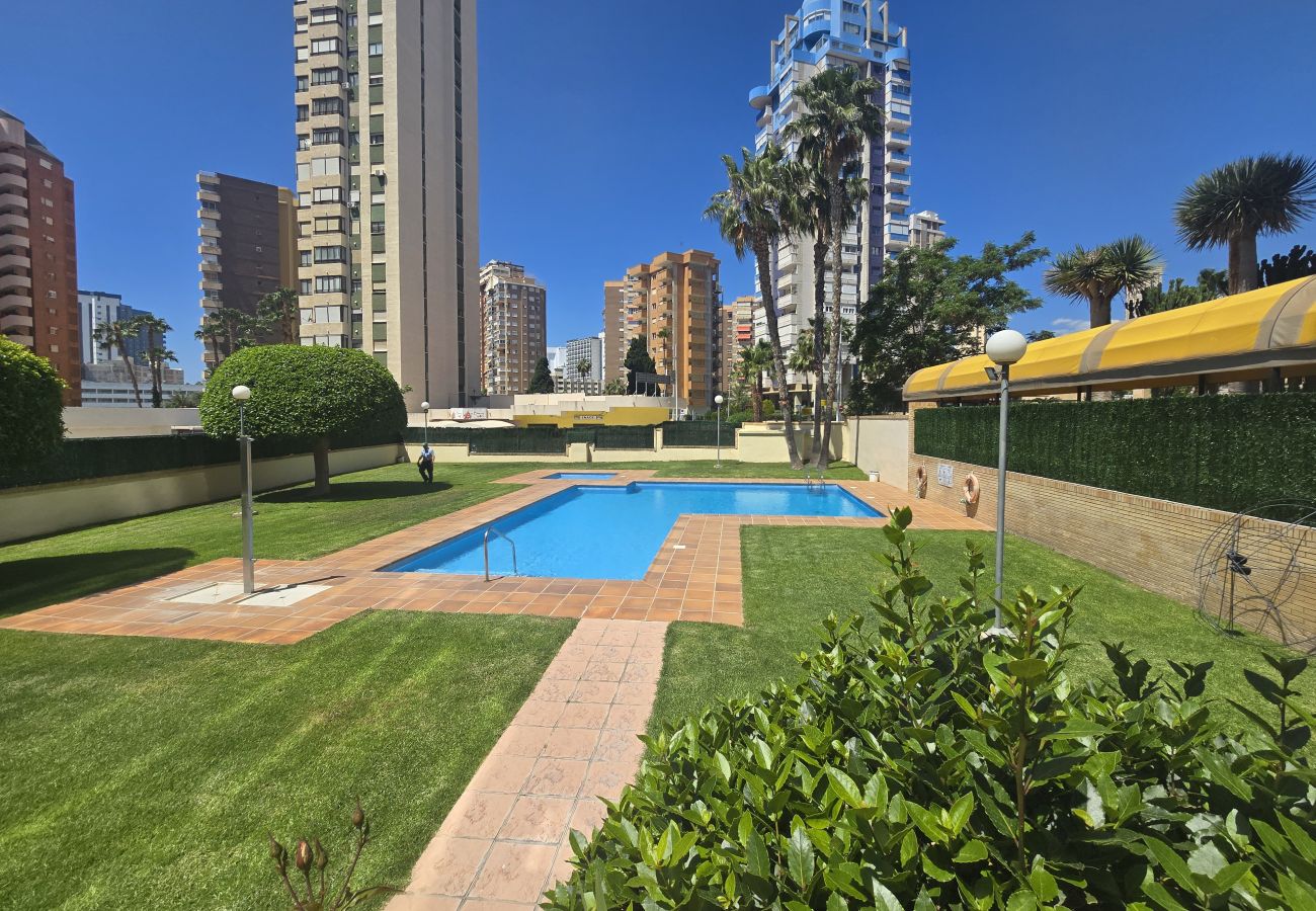 Apartamento en Benidorm - TORRE IPANEMA