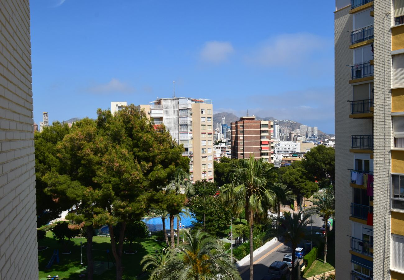 Apartamento en Benidorm - TORRE CLUB MEDICO (2 DORMITORIOS)