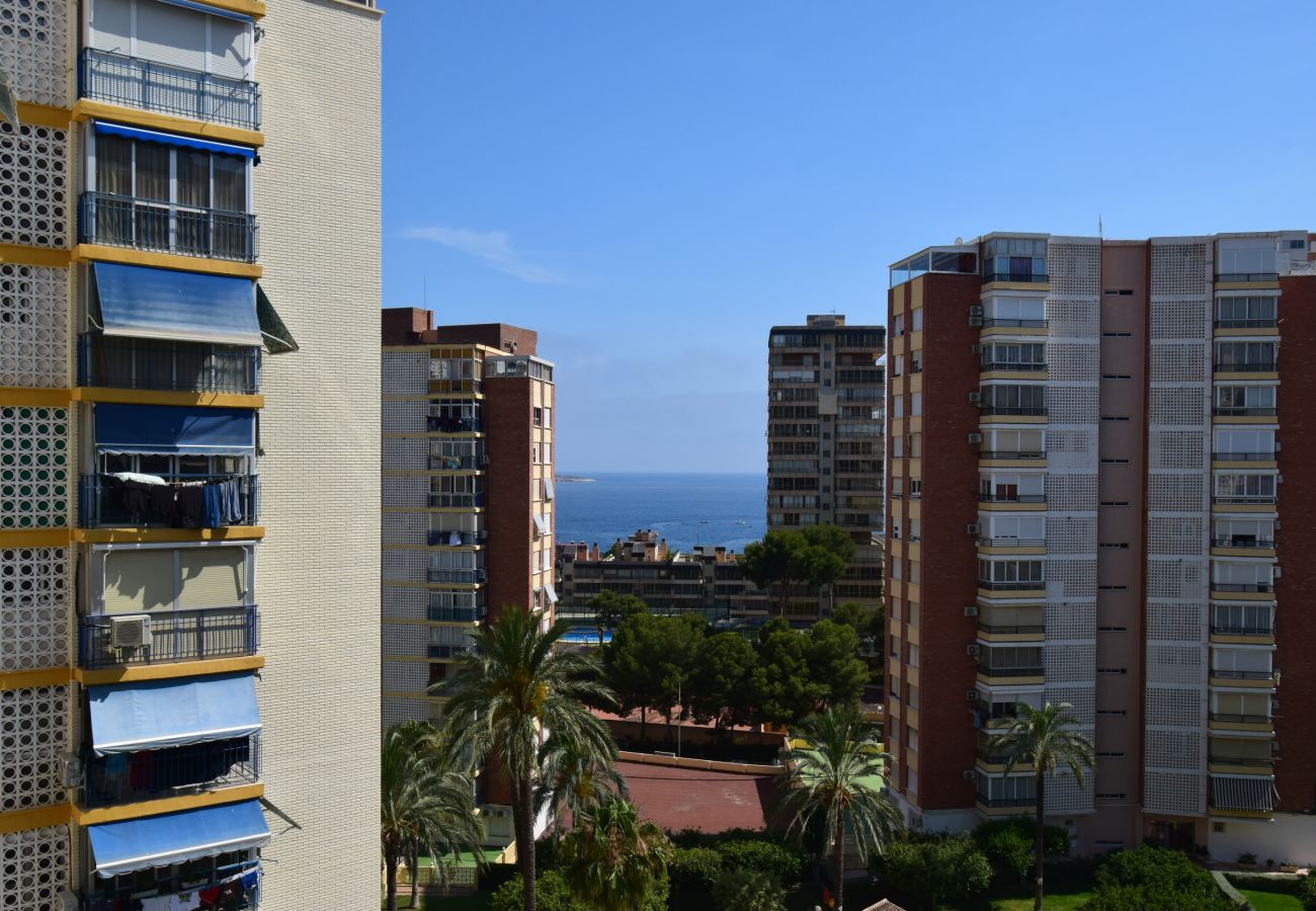 Apartamento en Benidorm - TORRE CLUB MEDICO (2 DORMITORIOS)