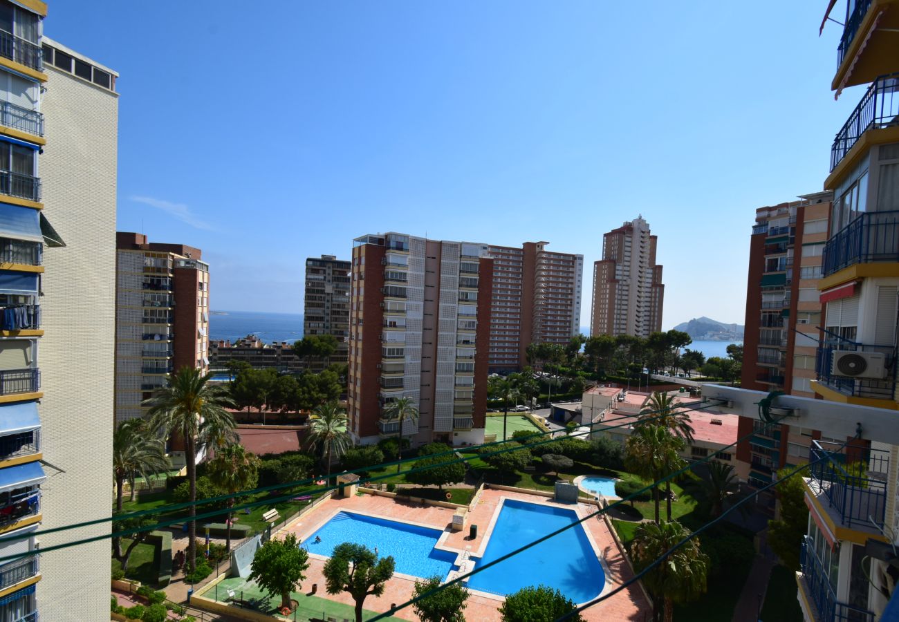 Apartamento en Benidorm - TORRE CLUB MEDICO (2 DORMITORIOS)