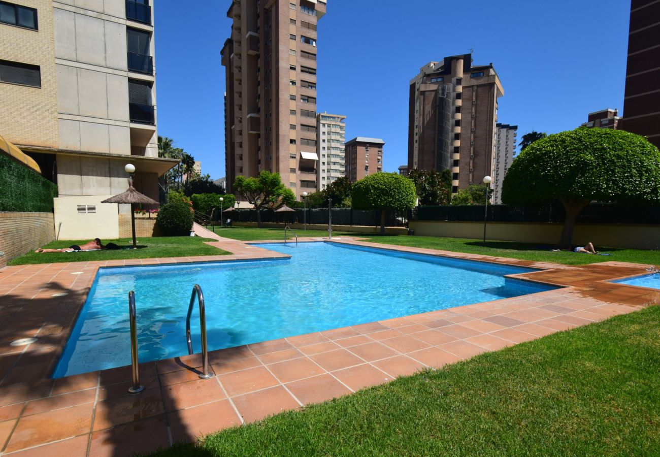 Apartamento en Benidorm - TORRE IPANEMA 9D