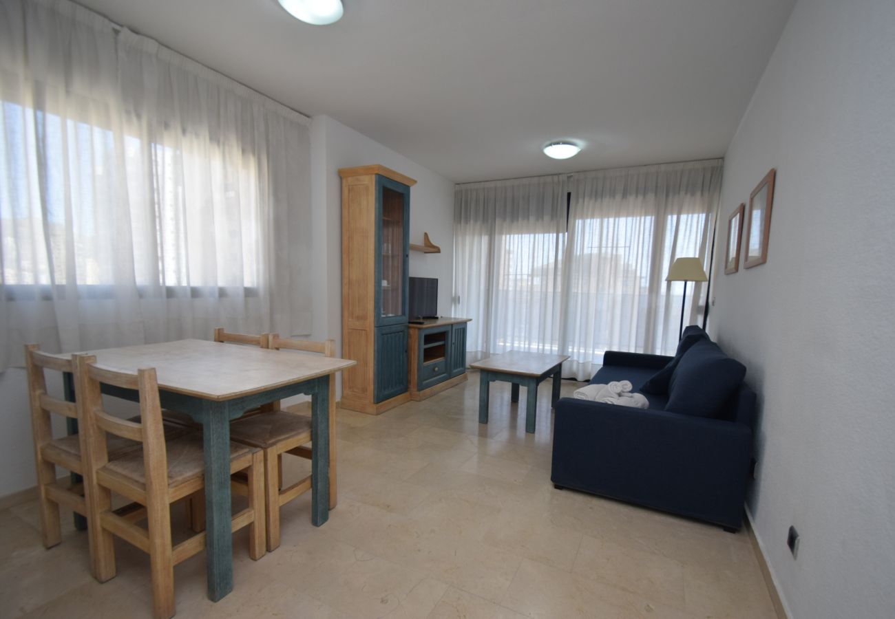 Apartamento en Benidorm - TORRE IPANEMA 9D