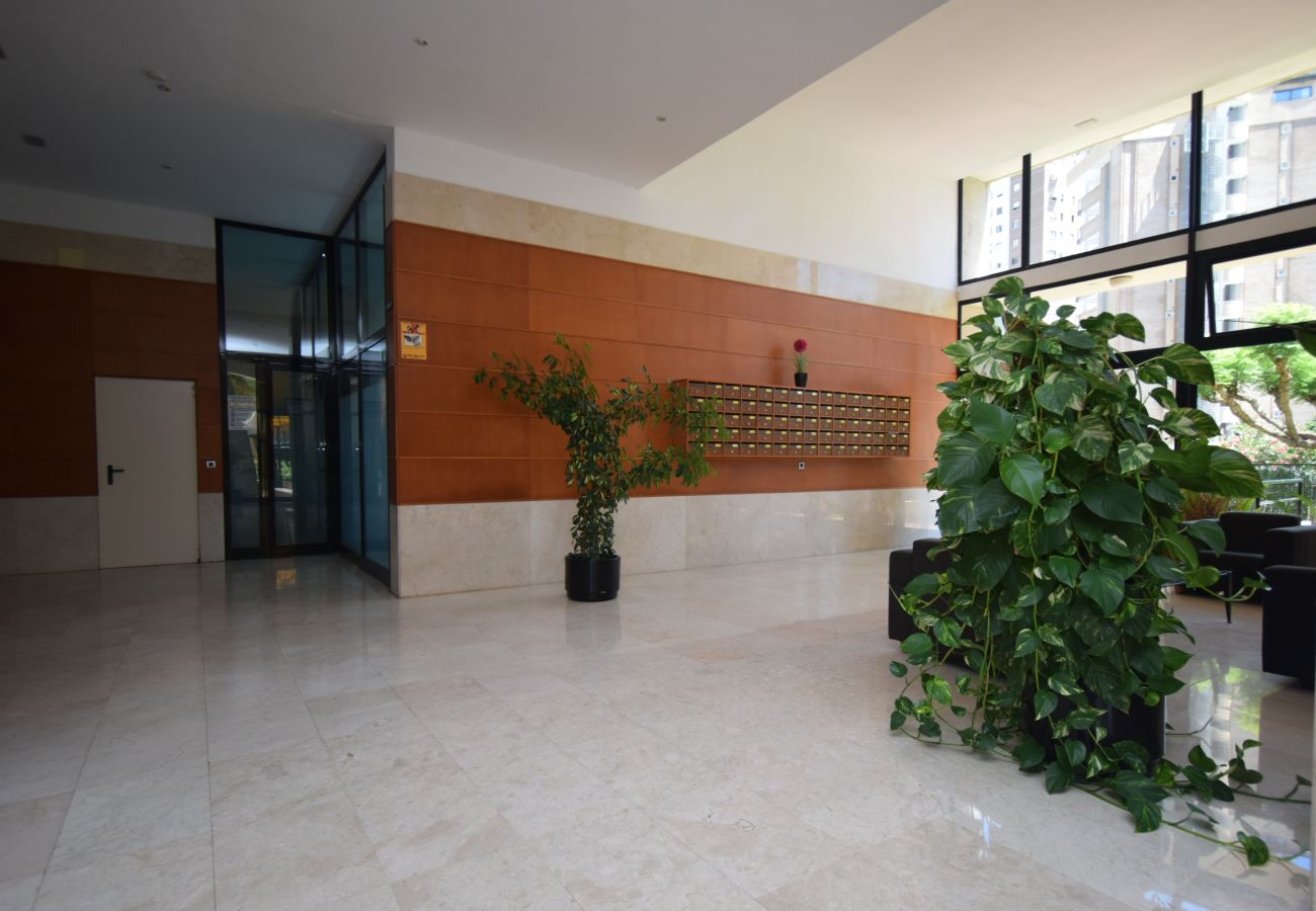 Apartamento en Benidorm - TORRE IPANEMA 9D